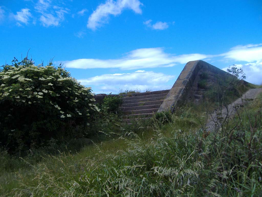 steps