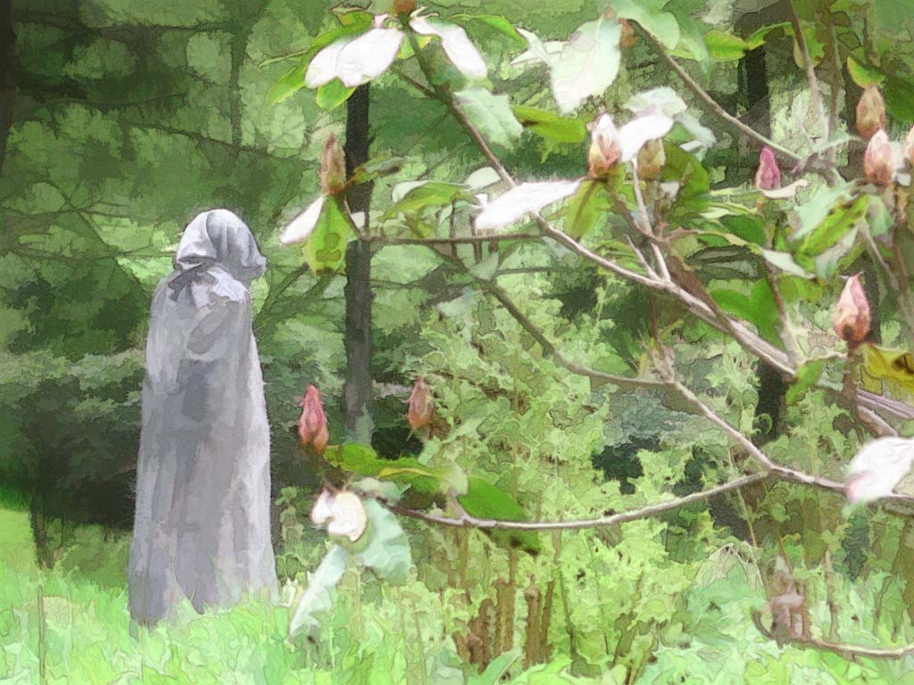 druid