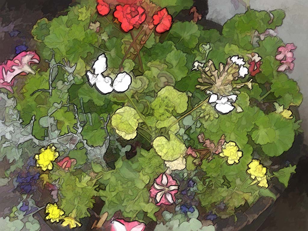 flowers