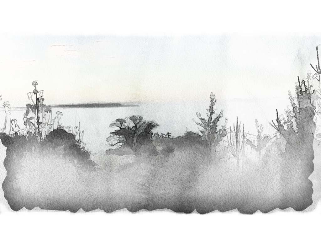 mist