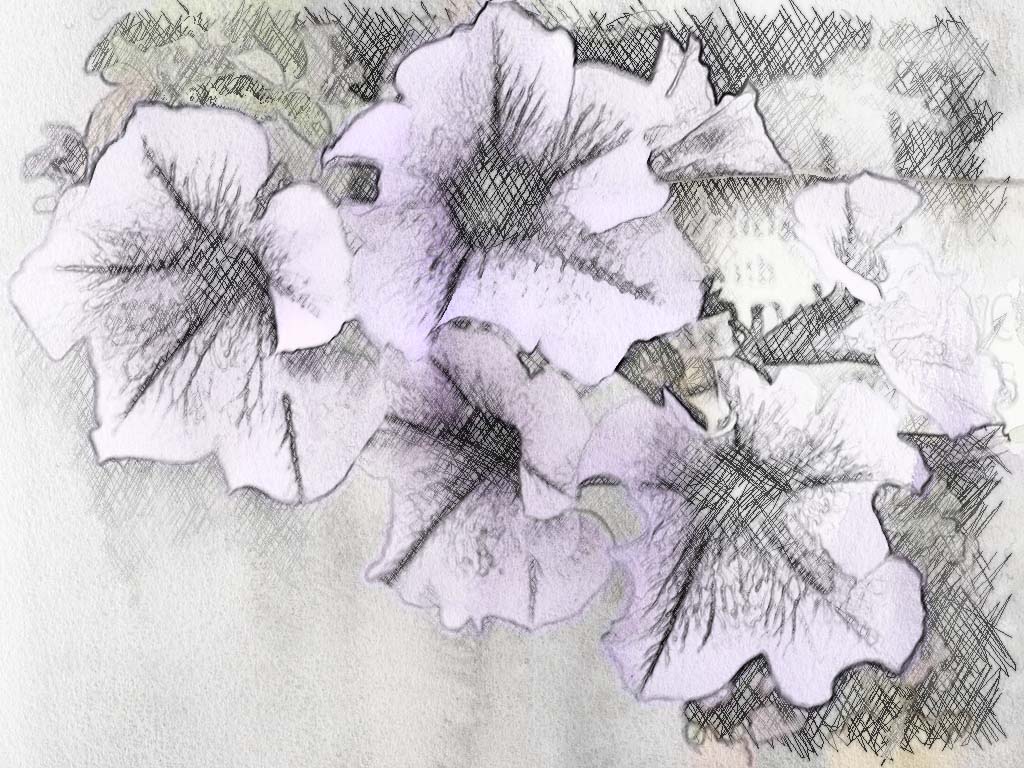purple