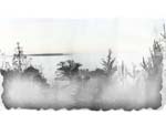 The Mist