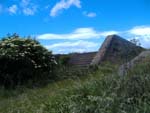 Steps To...